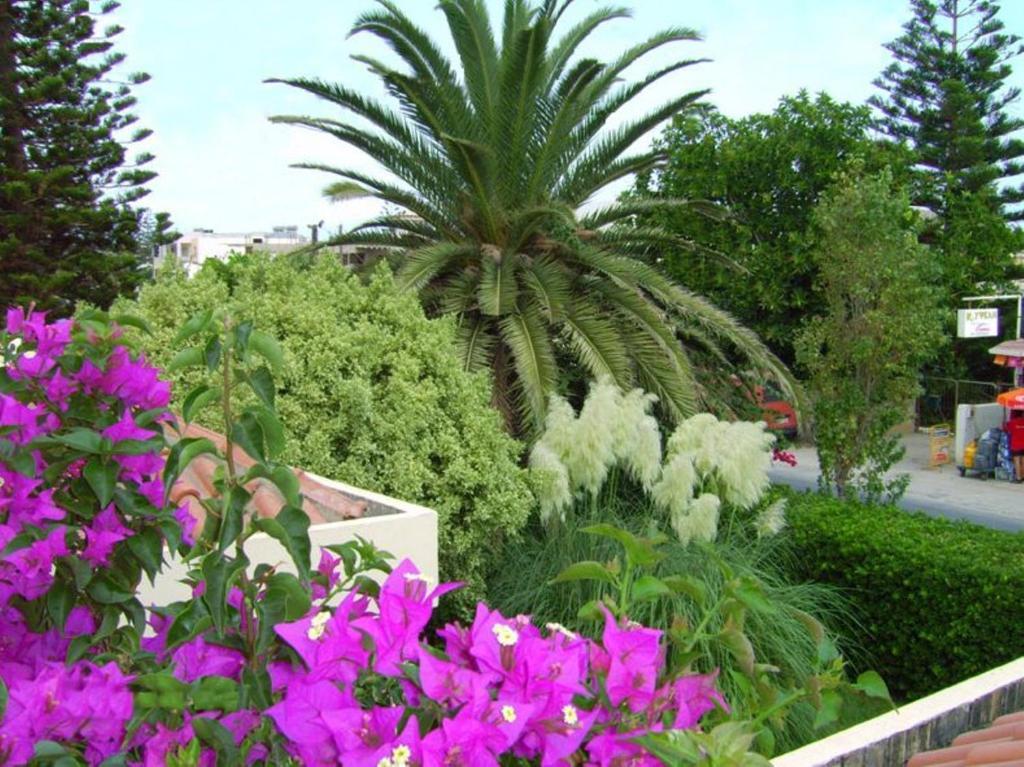 Julies Apartments Kokkini Hani Экстерьер фото